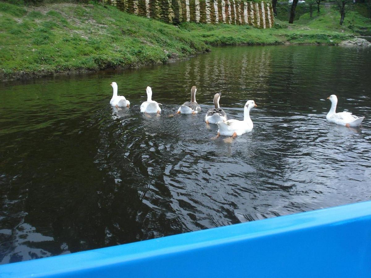 Riverside Resort Лансдаун Экстерьер фото